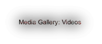 Media Gallery: Videos